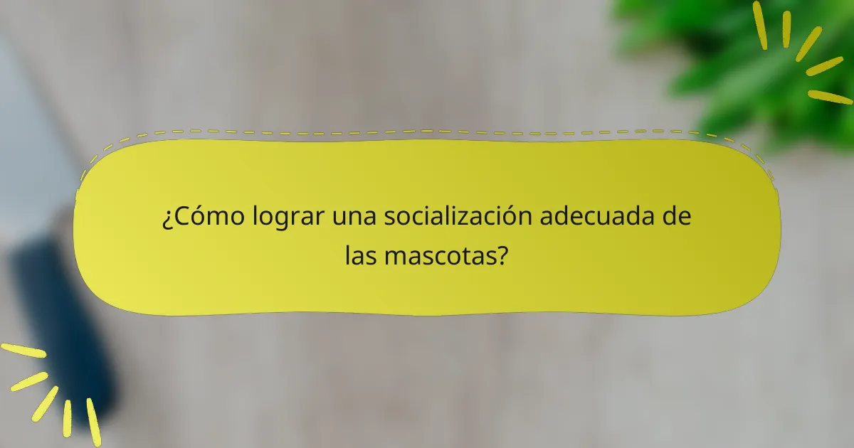 ¿Cómo lograr una socialización adecuada de las mascotas?