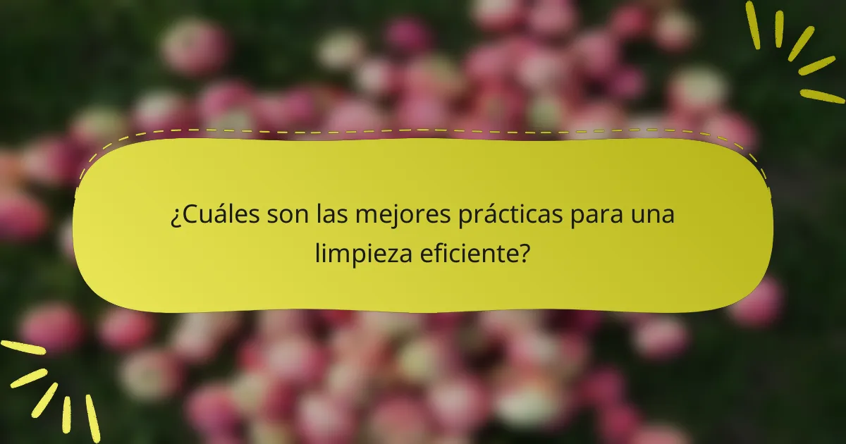 ¿Cuáles son las mejores prácticas para una limpieza eficiente?