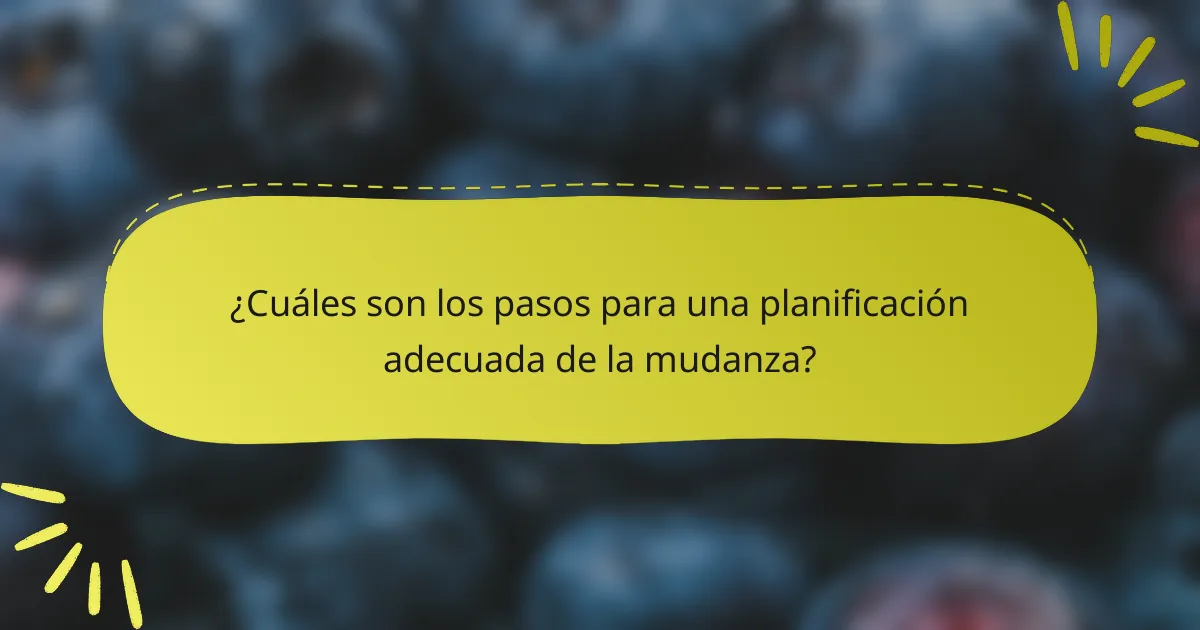 ¿Cuáles son los pasos para una planificación adecuada de la mudanza?