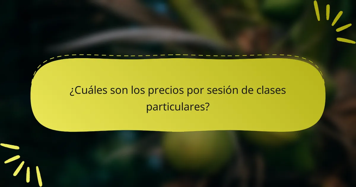 ¿Cuáles son los precios por sesión de clases particulares?